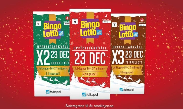 bingolotto